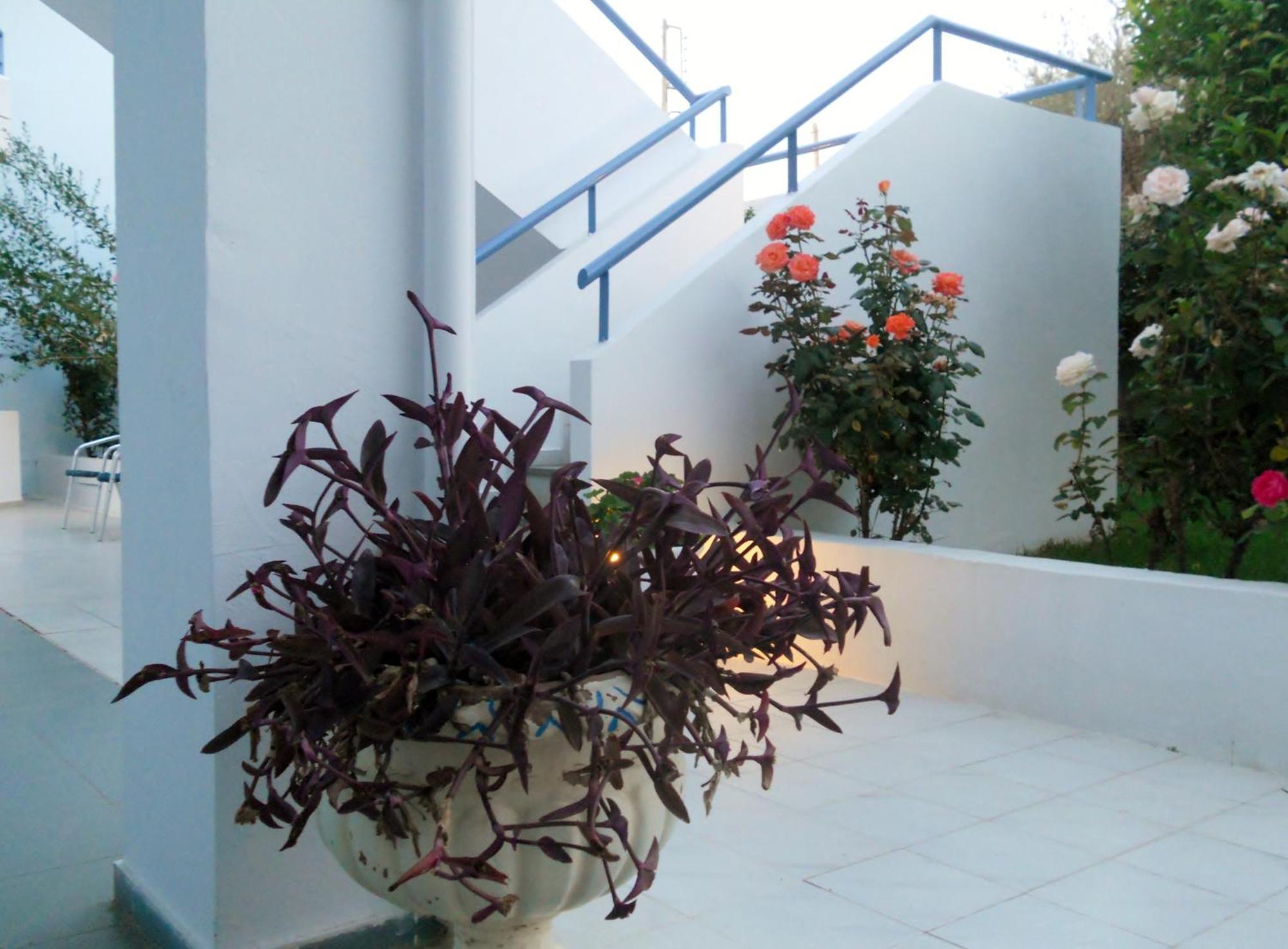 Dimitra Apartment Hotel Скафидия Экстерьер фото