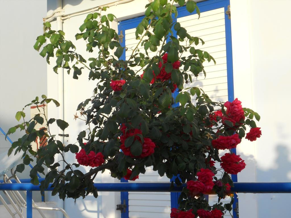 Dimitra Apartment Hotel Скафидия Экстерьер фото