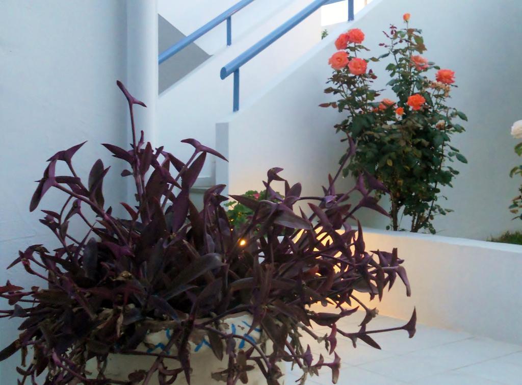 Dimitra Apartment Hotel Скафидия Экстерьер фото